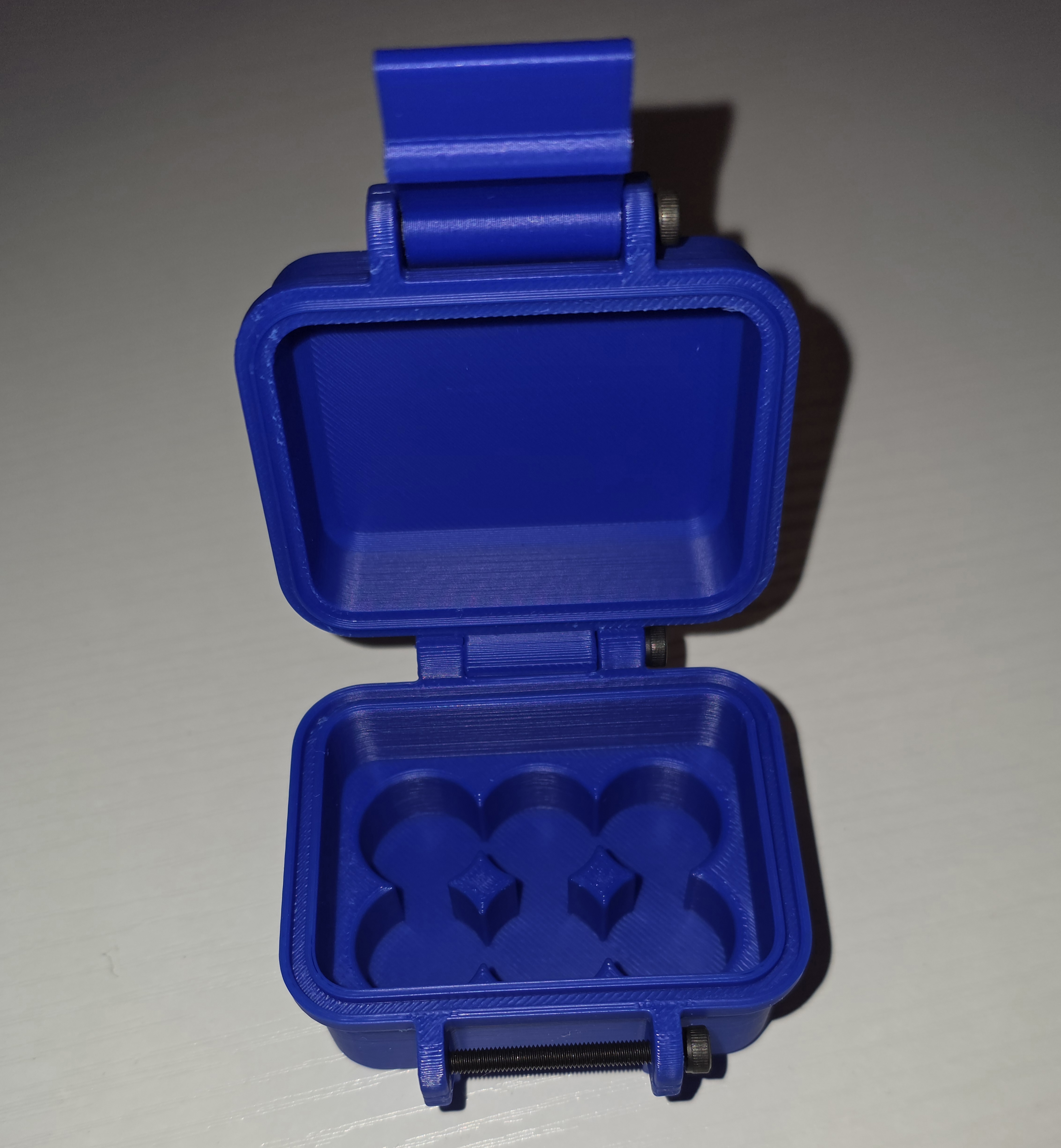 6 ct 3mL Case